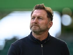 hat grossen respekt vor meister leverkusen wolfsburgs trainer ralph hasenhuettl