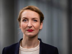 ines schwerdtner parteivorsitzende die linke posiert fuer ein foto in berlin 04 02 2026