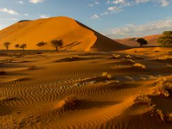 namibia 2019 12 02 view of a pink sand dune with ripples in the sand at sunrise in the sossusvlei area namib naukluft national park in namibia