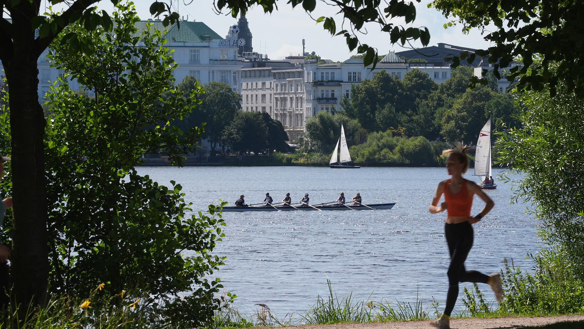alster 118