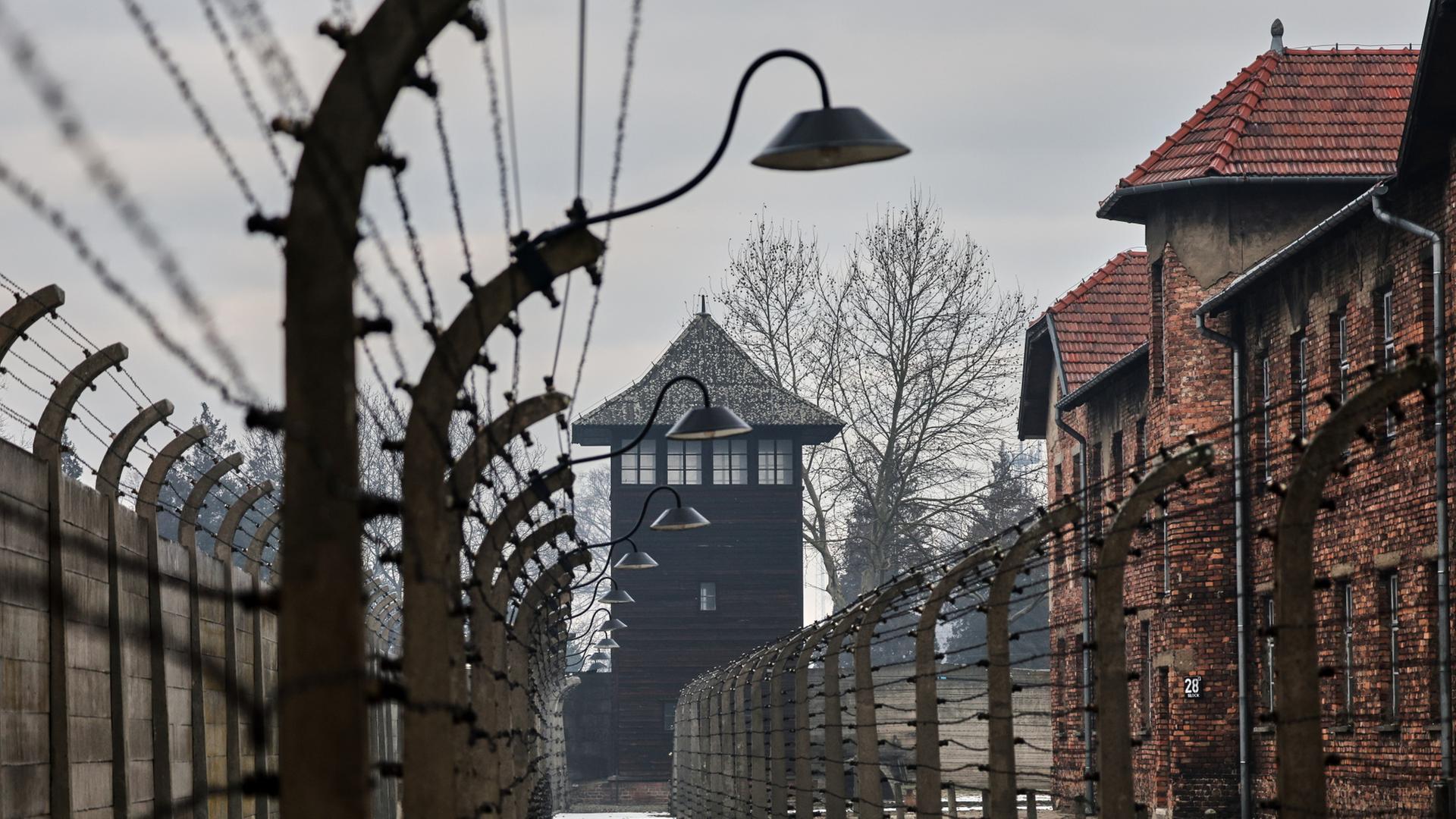 auschwitz birkenau 106