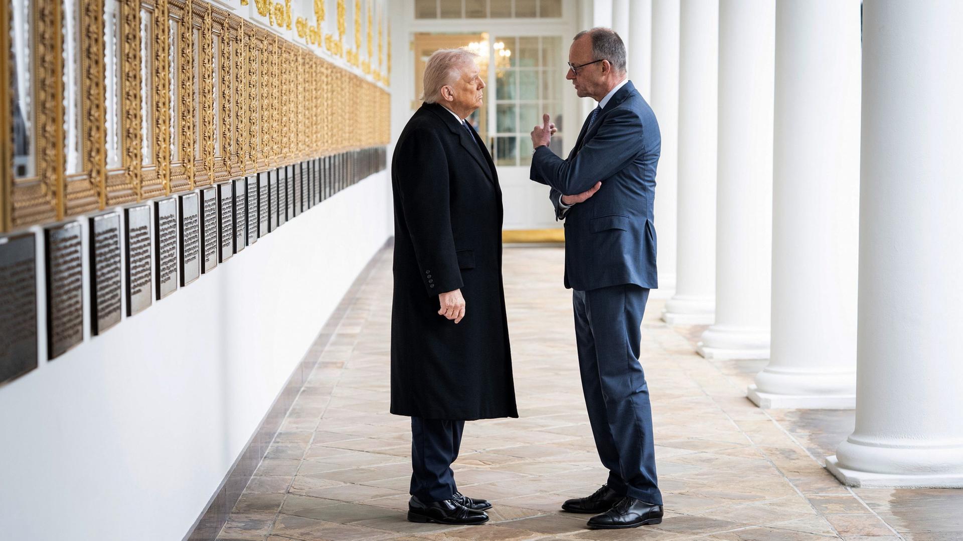 donald trump friedrich merz washington 100