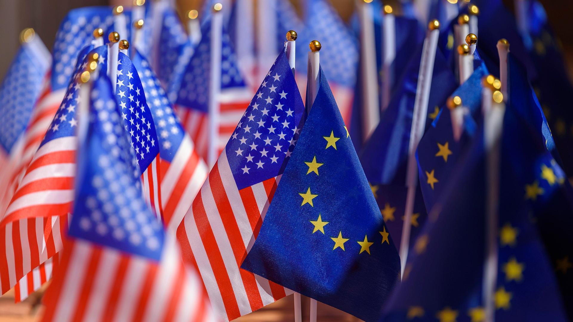 flaggen usa europa 100