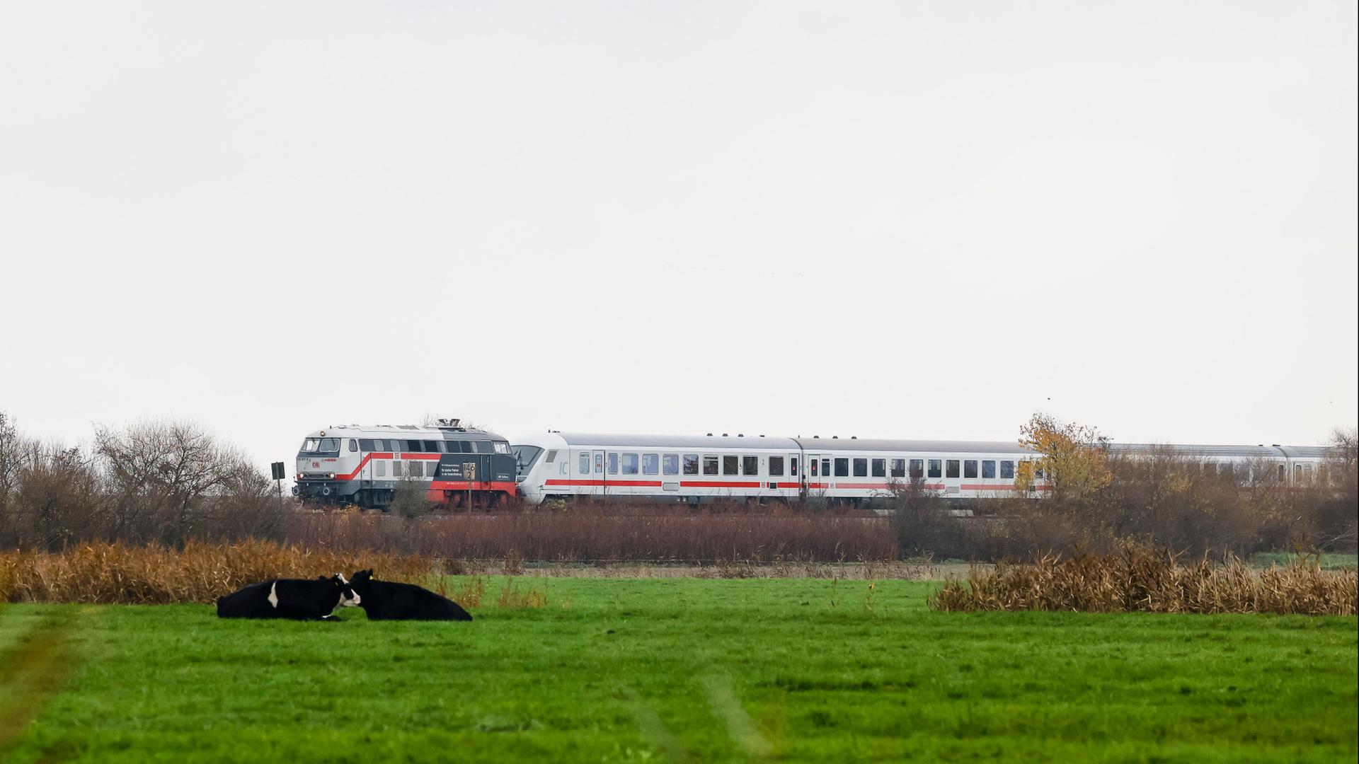 marschbahn sylt 100