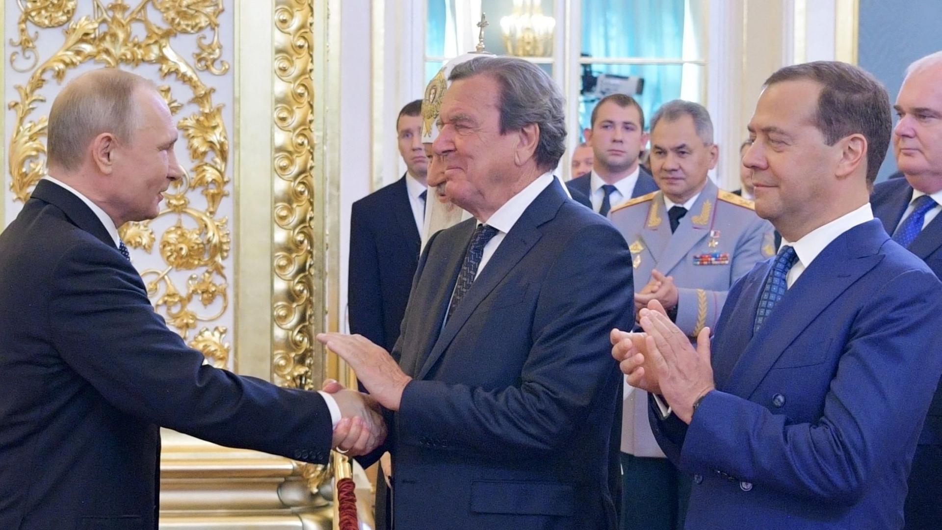 medwedew putin schroeder 100