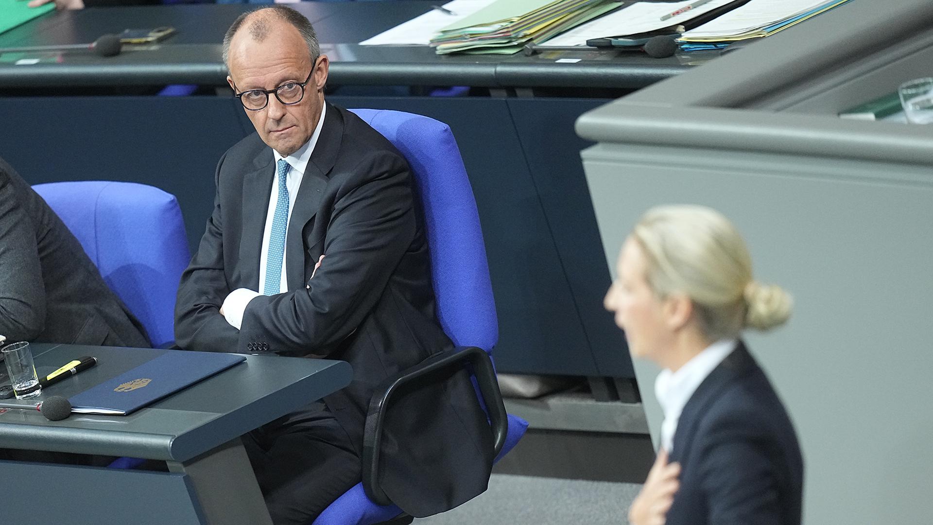 merz weidel 100
