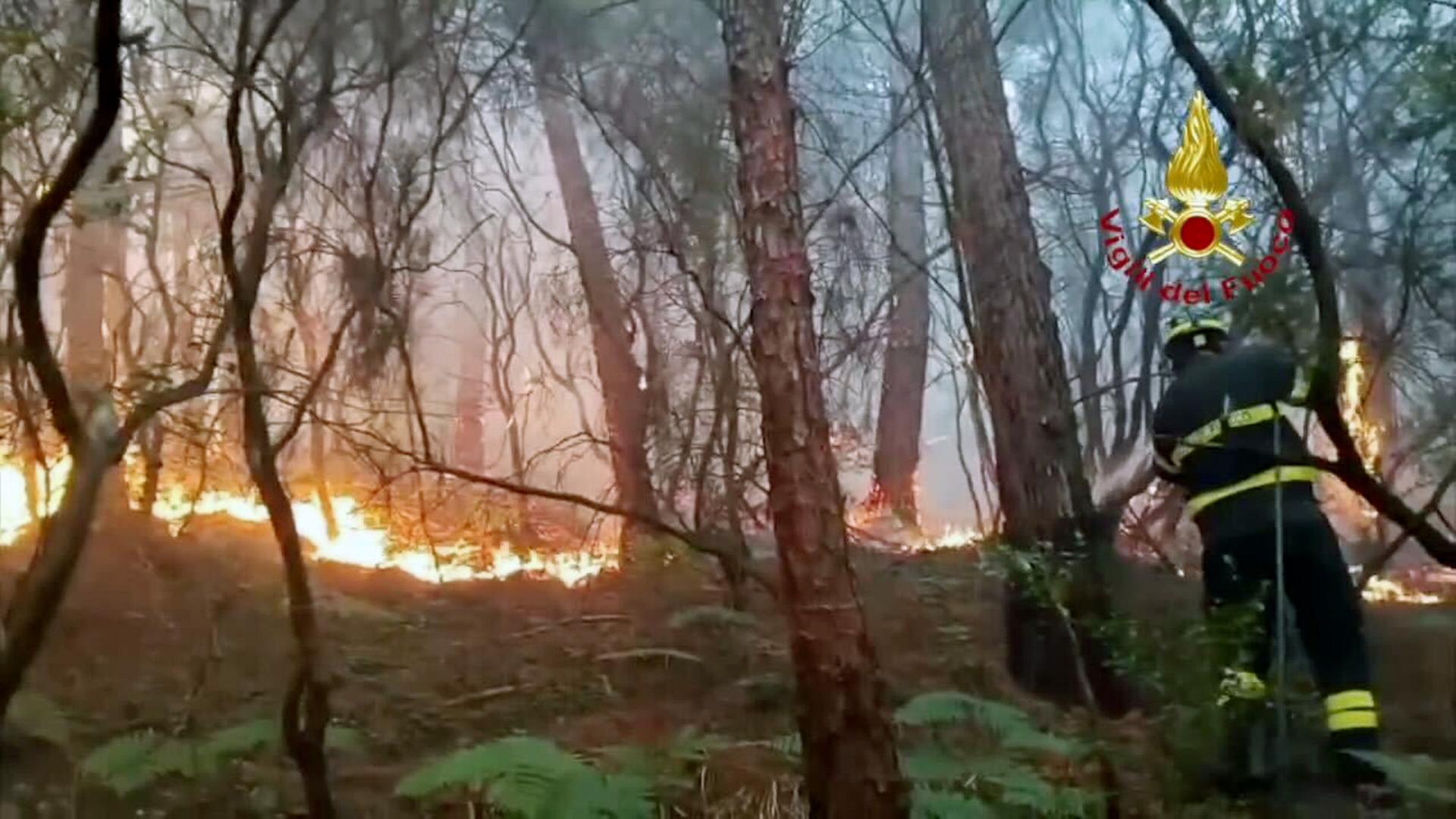 waldbrand italien 102
