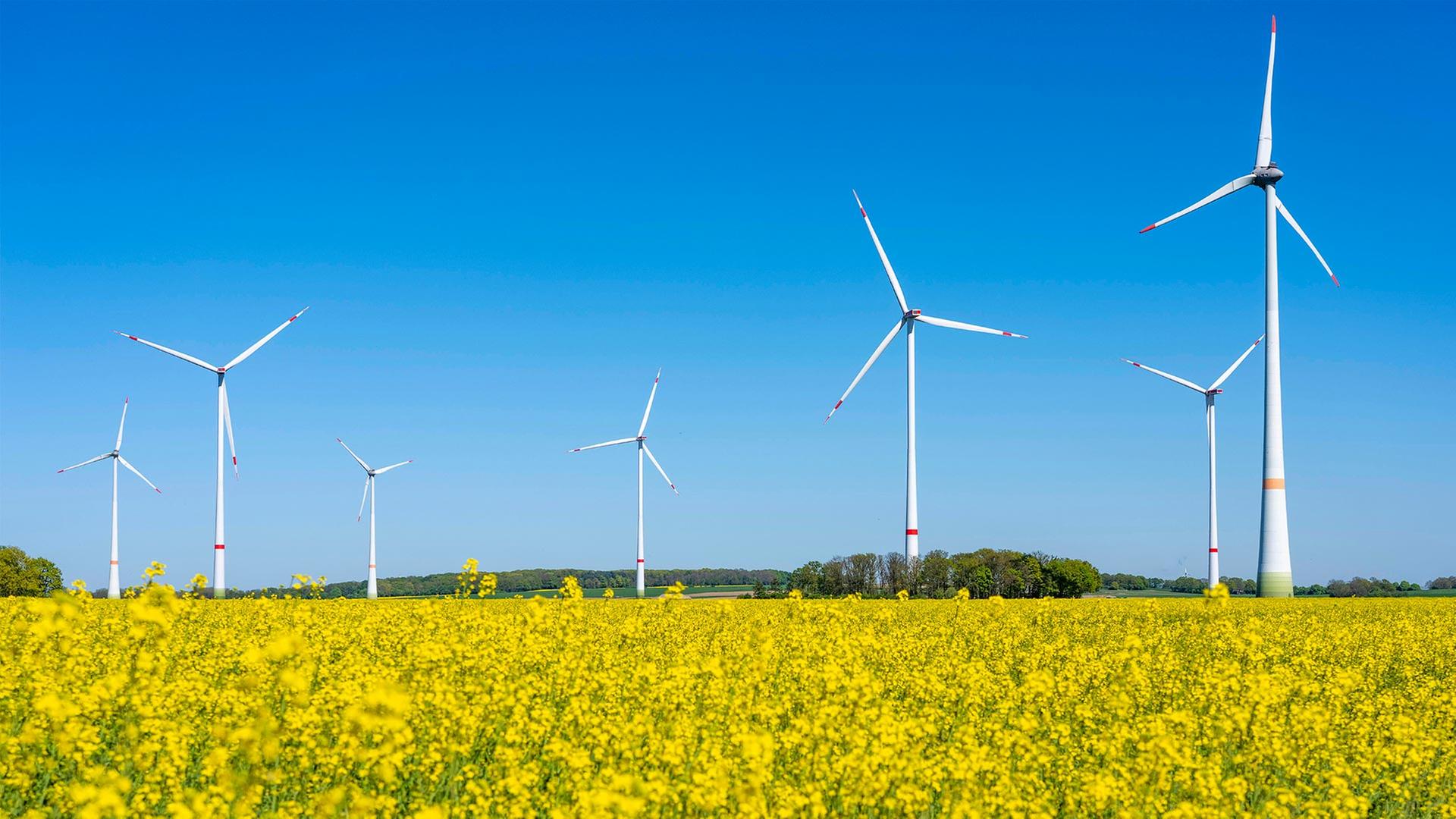 windkraft 226