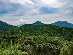 201030 kuala lumpur oct 30 2020 xinhua photo taken on oct 29 2020 shows the agarwood plantation of gaharu tea valley in gopeng perak malaysia