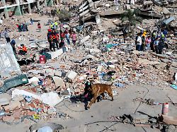 a rescue dog from the argentine search and rescue team searches for bodies in the rubble of a collapsed building in caraballeda la guaira state venezuela june 28 2026 following earthquakes 1