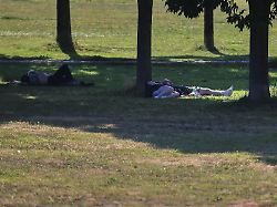 berlin deutschland bei temperaturen um die 35 grad liegen menschen auf einer wiese im schatten