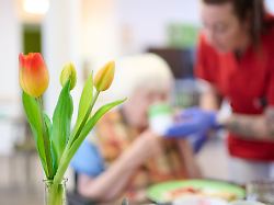 die ausgaben fuer die pflege steigen immer schneller