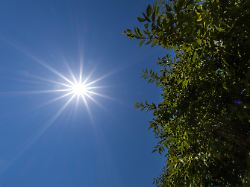 die sonne scheint vor blauem himmel