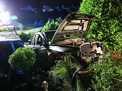 ein pick up truck steht nach einem spektakulaeren unfall in einem garten mehrere menschen sind dabei verletzt worden so die feuerwehr