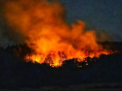 ein waldstueck mit kampfmitteln brennt in der naehe des ortes traisen die loescharbeiten mussten unterbrochen und teile des ortes geraeumt werden