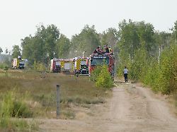 feuerwehrkraefte stehen in der gohrischheide dort ist am samstagnachmittag ein waldbrand ausgebrochen