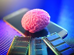 gehirn auf smartphone mit computerplatinen symbolfoto neurotechnologie