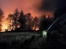 handout 29 06 2026 bayern uebersee die feuerwehr bekaempft einen waldbrand im bereich der gemeinde uebersee am chiemsee die nahegelegene a8 ist deswegen komplett gesperrt