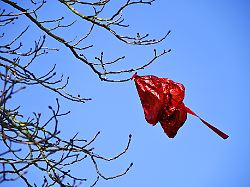 hochzeitsballon in herzform hat sich in einem baum verfangen