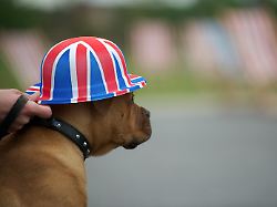 june 3 2012 middlesbrough cleveland uk middlesbrough england harry the dog during a party to celebrate the queen s jubilee in middlesbrough town centre the royal jubilee celebrations