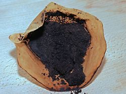 kostenloser naturduenger kaffeesatz zum einsatz als wertvolles duengemittel fuer gartenpflanzen free natural fertilizer coffee grounds for use as a valuable fertilizer for garden plants