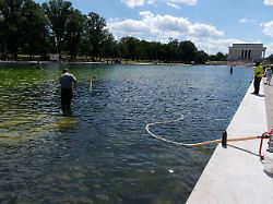 members of the national park service uses a vacuum like device to remove algae from the lincoln memorial reflecting pool on the national mall friday june 19 2026 in washington
