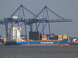 panda 004 container ship at felixstowe suffolk united kingdom