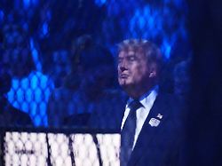praesident donald trump besucht die ufc freedom 250 auf dem suedrasen des weissen hauses