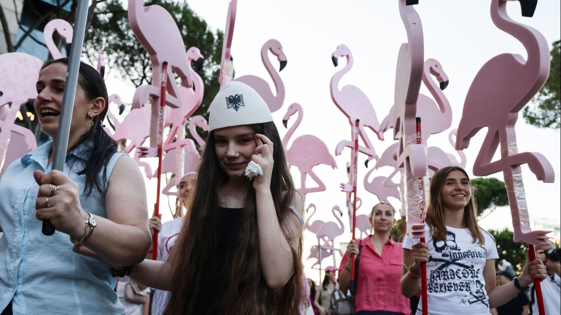 albanien flamingo proteste 106