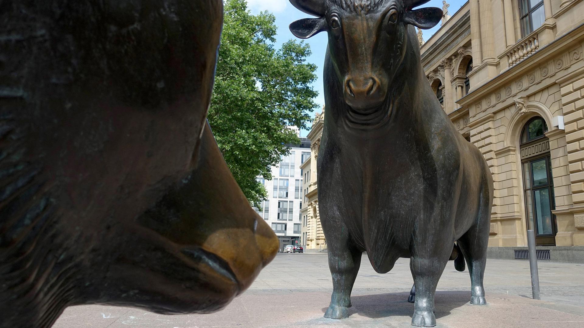 boerse 217