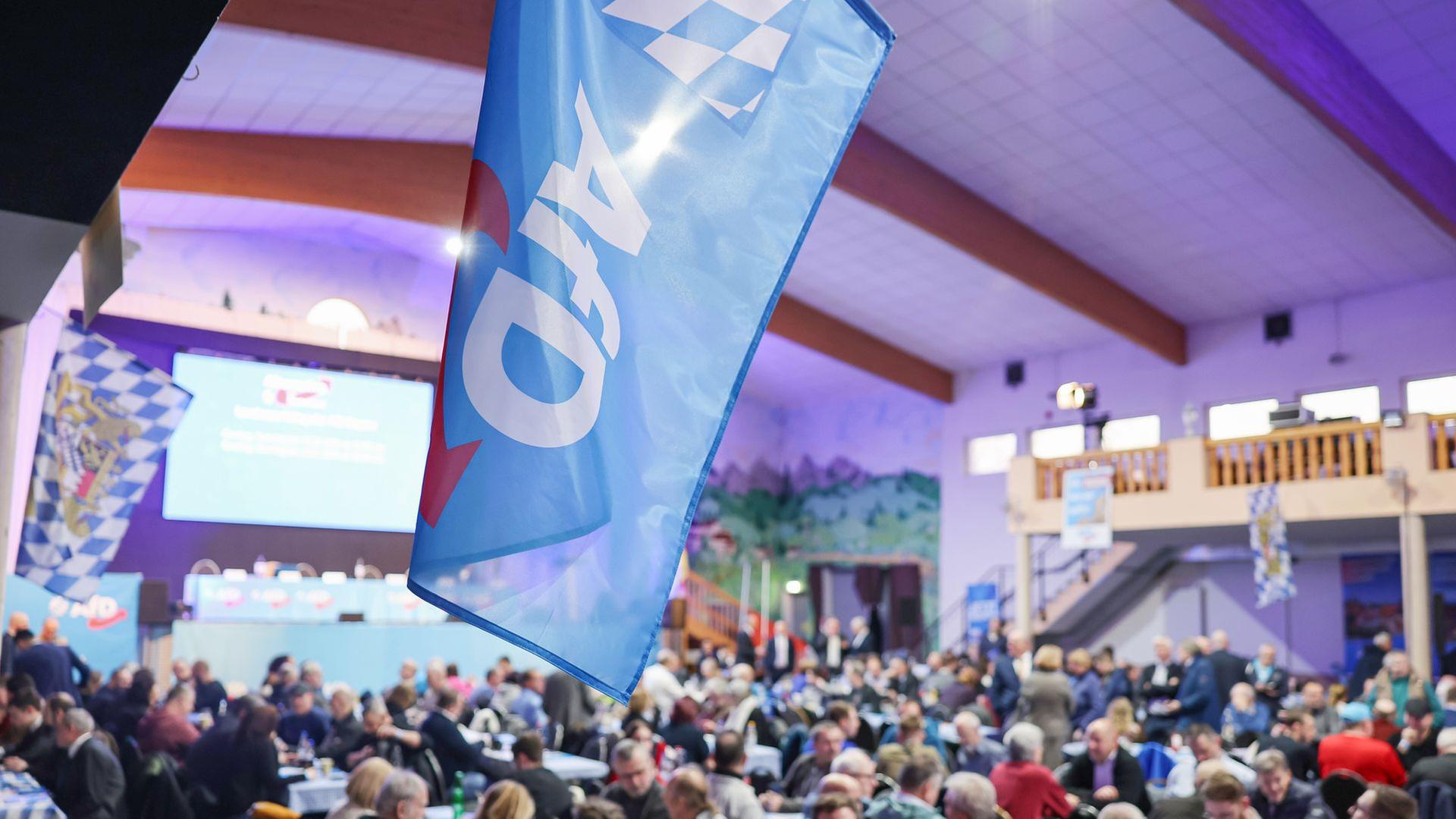 br archivbild afd landesparteitag 100