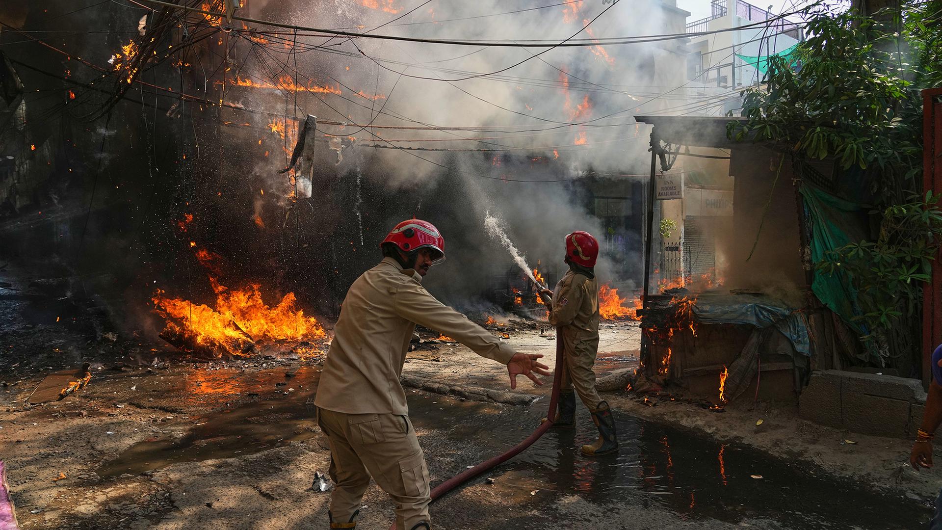 brand neu delhi 100