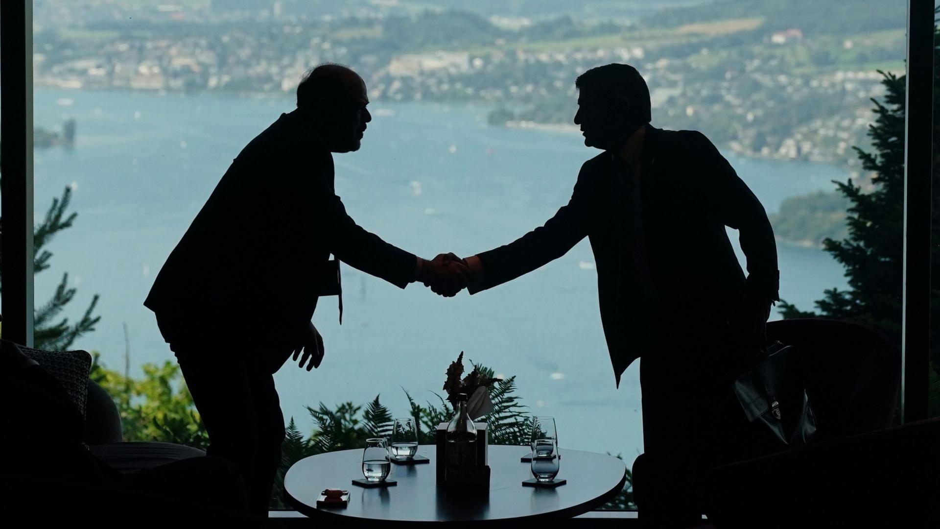 delegation schweiz 100