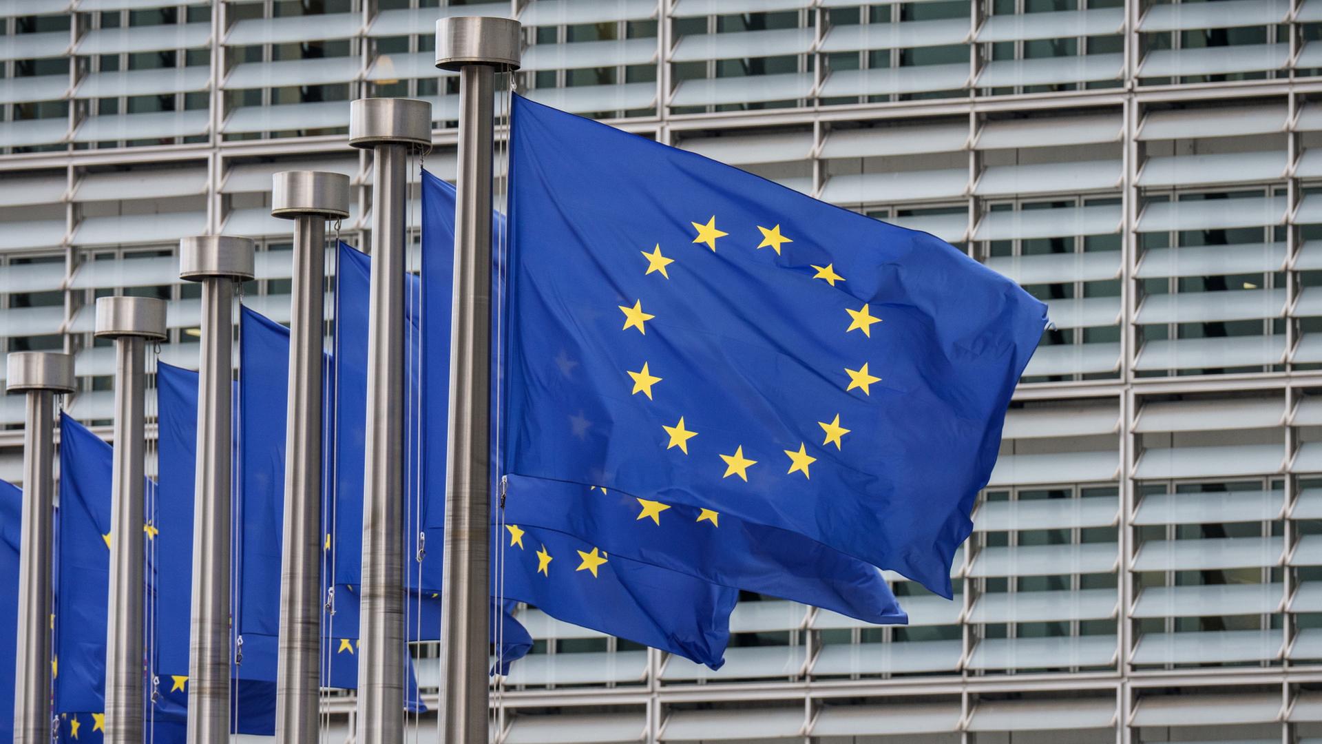 eu bruessel flaggen 102