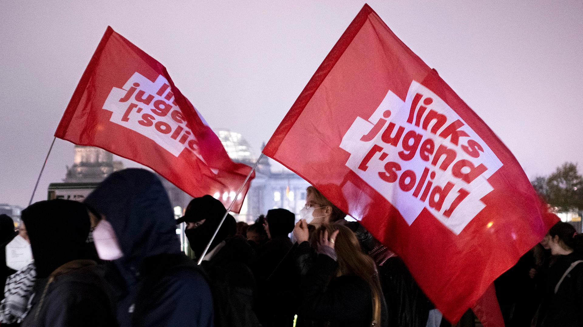 linksjugend demonstranten flaggen 100
