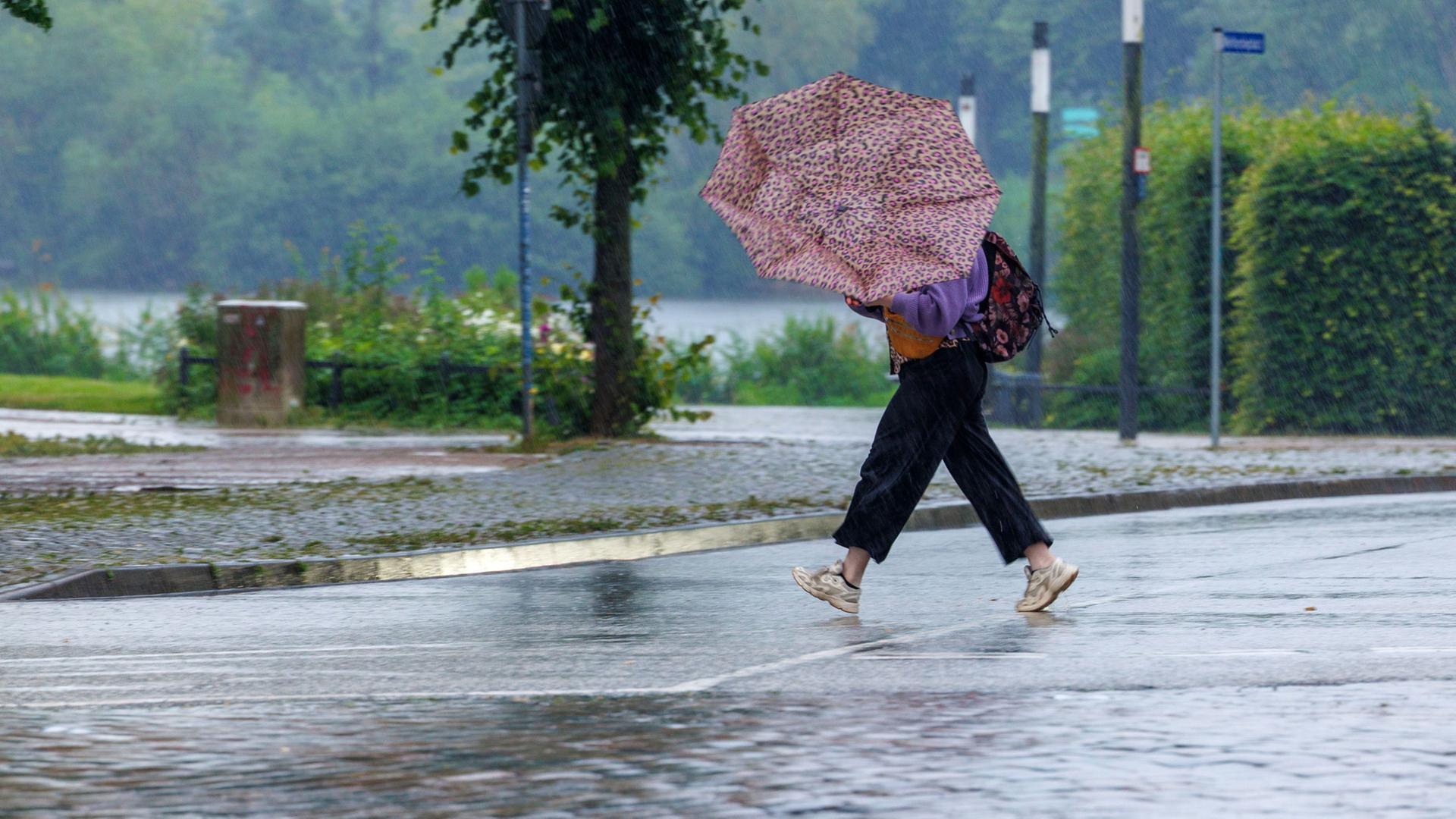 regenschirm regen 100