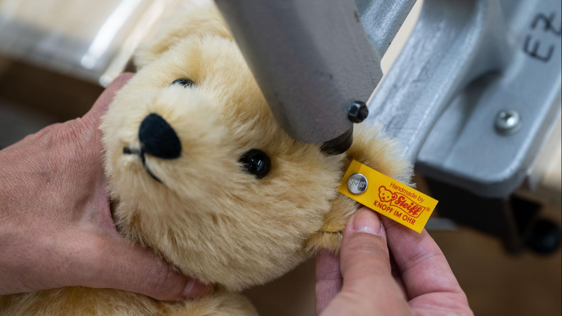 steiff 102