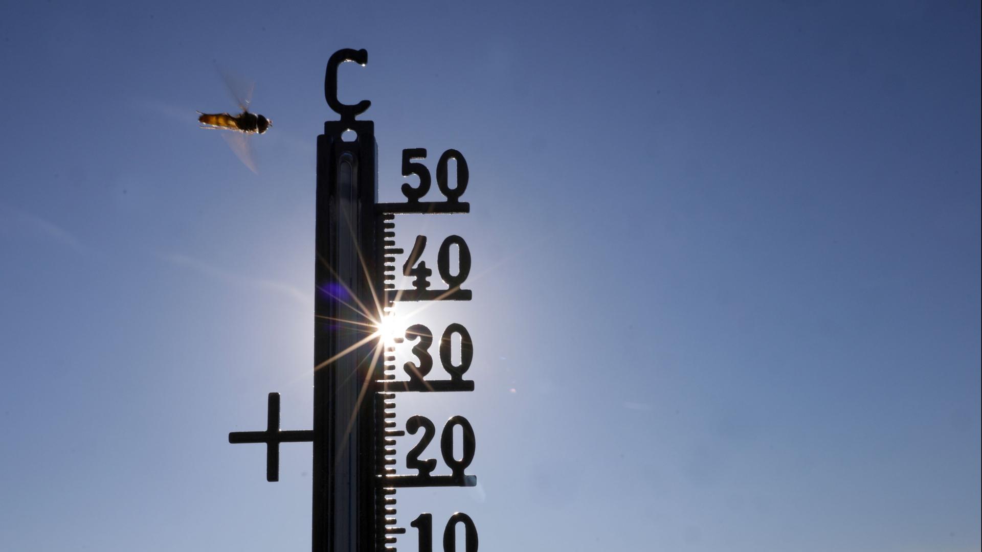 thermometer 134