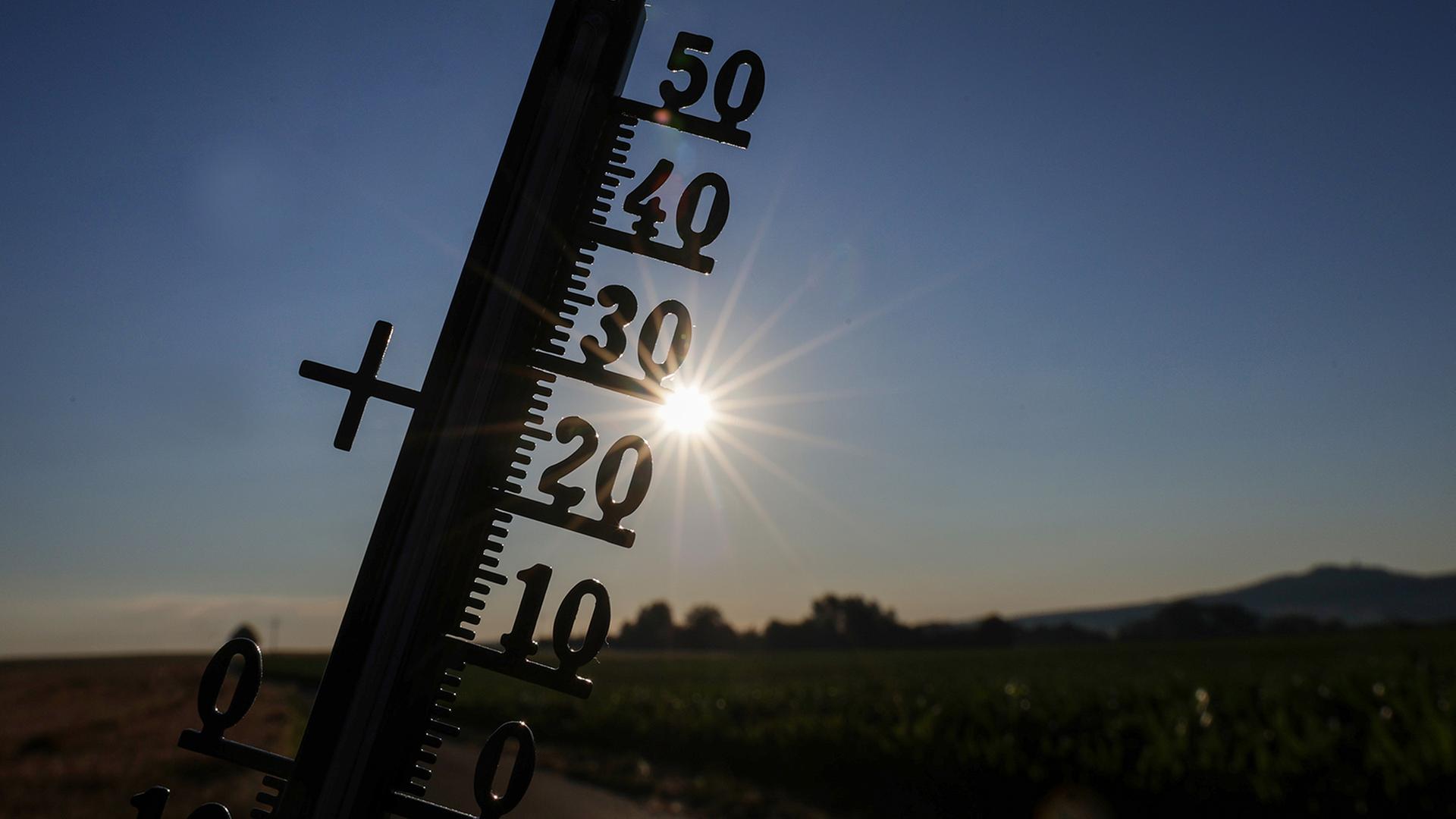 thermometer sonne 100