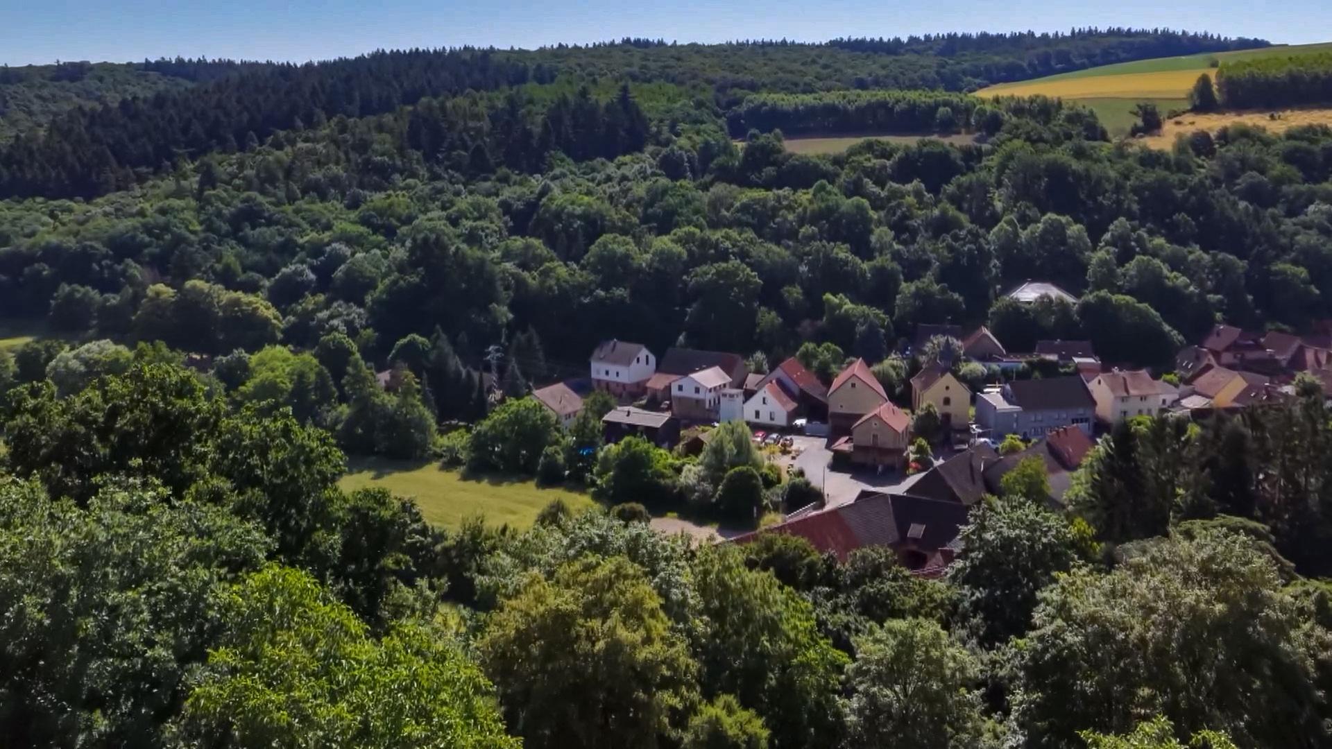 tiefenthal 100