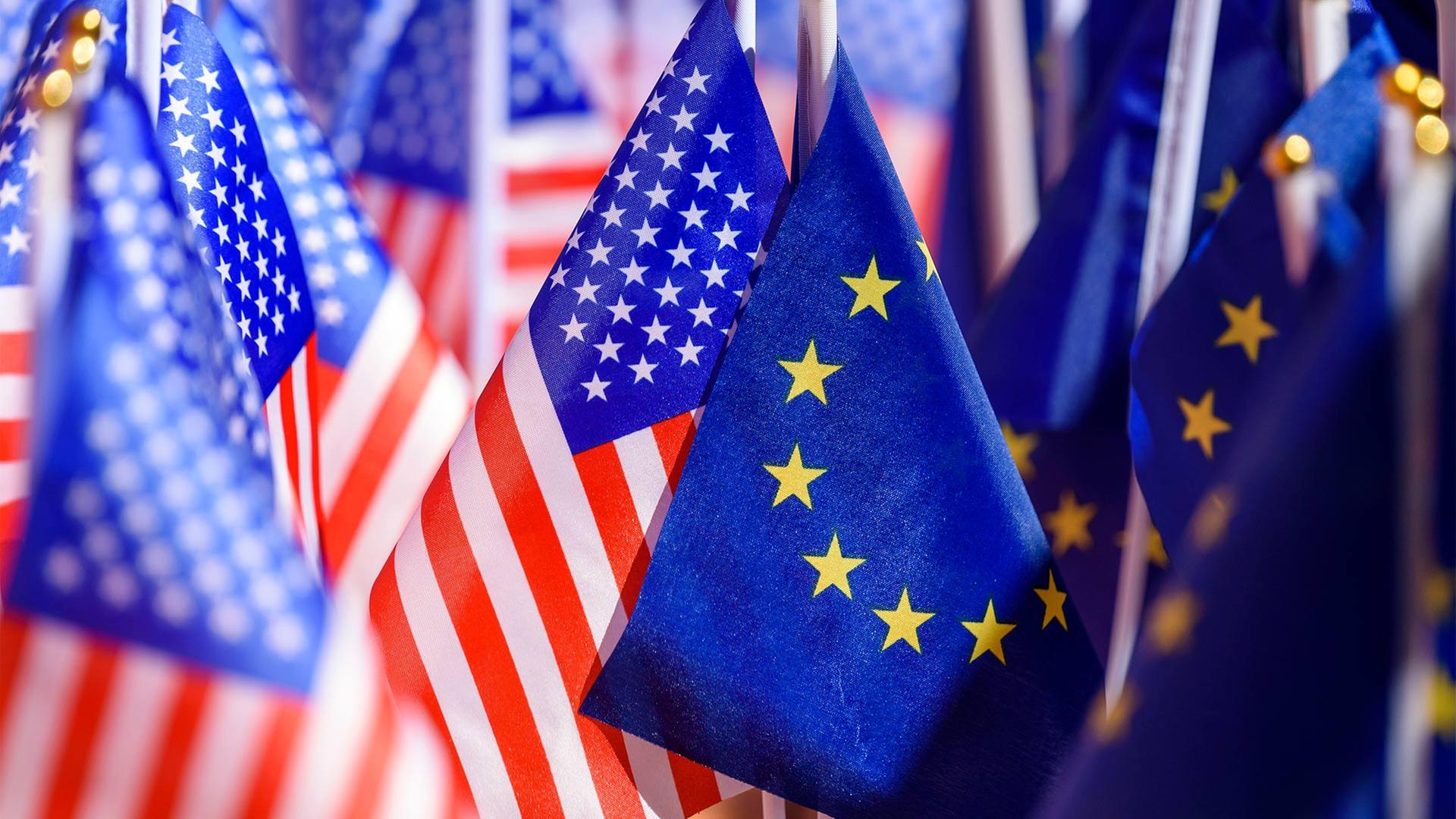 usa eu flaggen 100