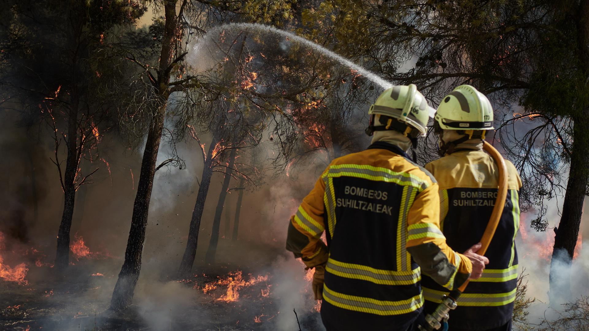 waldbrand 586