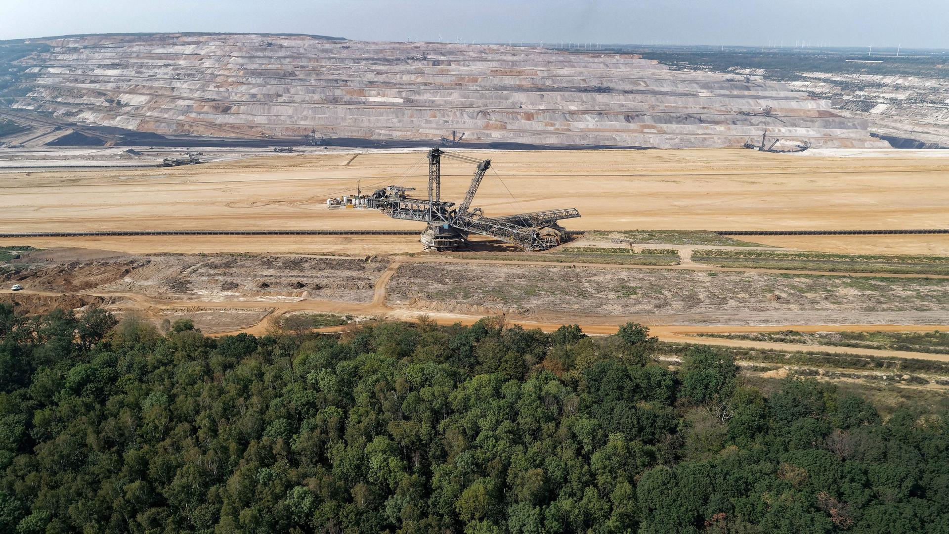wdr wald am rande des hambacher tagebaus 100
