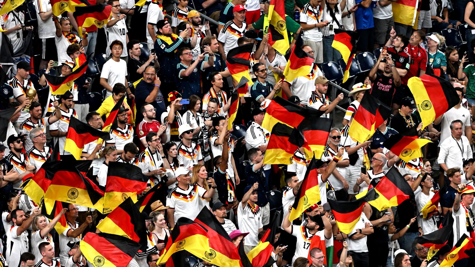 wm fans 100
