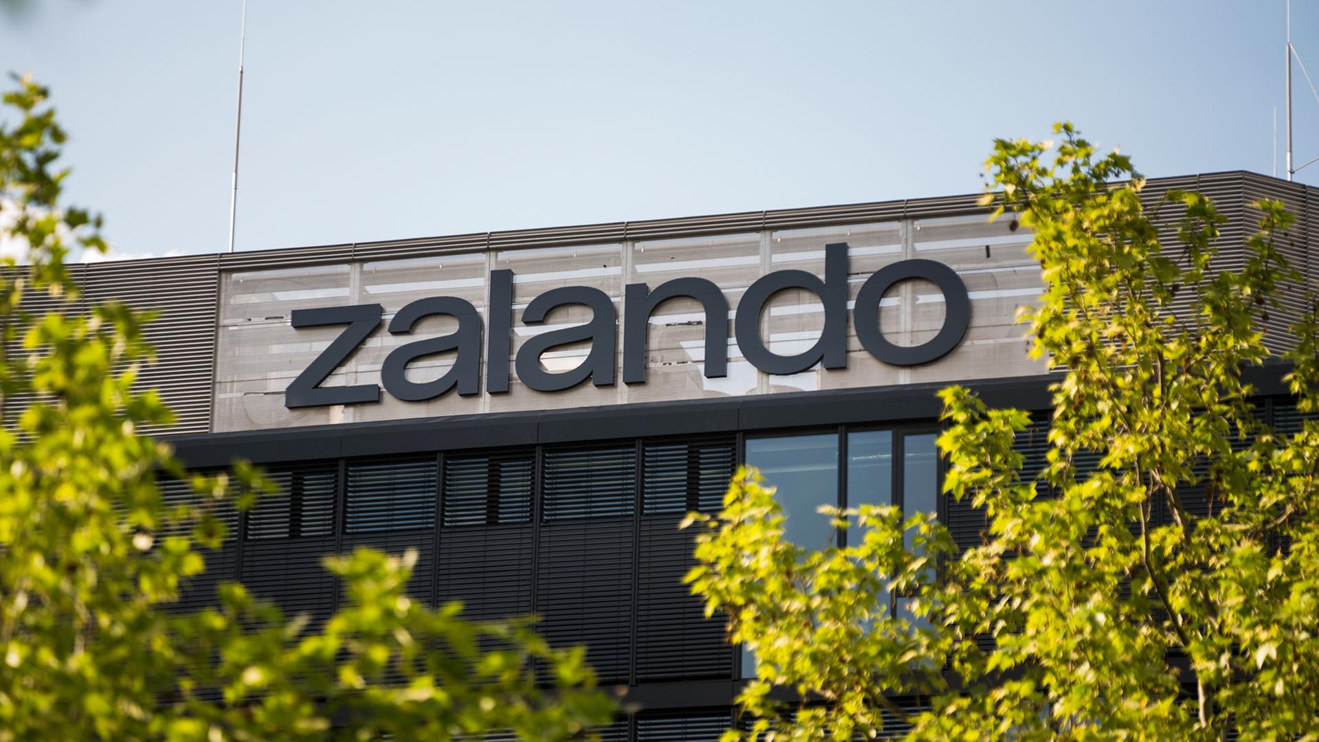 zalando 146