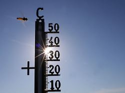 archiv 21 06 2026 baden wuerttemberg riedlingen die sonne scheint hinter einem thermometer an dem eine schwebefliege vorbeifliegt