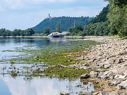 der niedrige wasserstand der donau legt sandbaenke frei