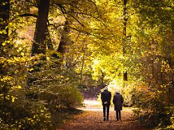 ein senior und eine seniorin machen in der morgendlichen sonne einen spaziergang durch einen park aufgenommen in berlin 20 10 2025