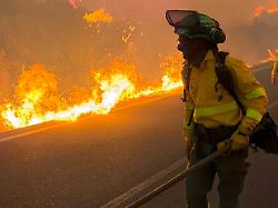 einsatzkraefte von infoca bekaempfen die flammen in los gallardos der waldbrand in almeria gilt als der bislang schwerste in andalusien es gibt zahlreiche tote und verletzte