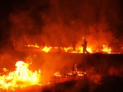 feuerwehrleute setzen kontrollierte brandlegung ein um einen waldbrand einzudaemmen der sich in der naehe von cebreros in der provinz avila weiter ausbreitet